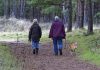 Mes del Adulto Mayor: Los riesgos de las caídas y la complejidad de la recuperación Mes del Adulto Mayor: Los riesgos de las caídas y la complejidad de la recuperación