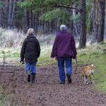 Mes del Adulto Mayor: Los riesgos de las caídas y la complejidad de la recuperación Mes del Adulto Mayor: Los riesgos de las caídas y la complejidad de la recuperación