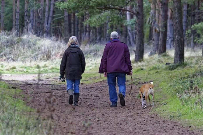 Mes del Adulto Mayor: Los riesgos de las caídas y la complejidad de la recuperación