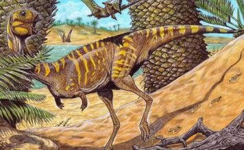 Museo Nacional de Río y Siemens Healthineers usan escáner médico para estudiar un dinosaurio