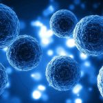 Nobel de Medicina 2025: el hallazgo que revoluciona la inmunología y abre nuevas vías terapéuticas