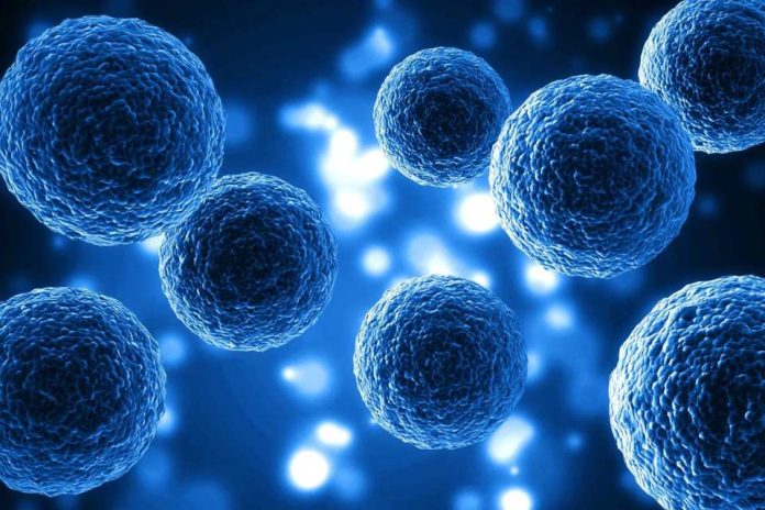 Nobel de Medicina 2025: el hallazgo que revoluciona la inmunología y abre nuevas vías terapéuticas
