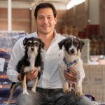 Nutrición por etapas: la clave veterinaria para prevenir enfermedades y prolongar la vida de perros y gatos