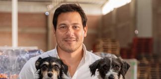 Nutrición por etapas: la clave veterinaria para prevenir enfermedades y prolongar la vida de perros y gatos