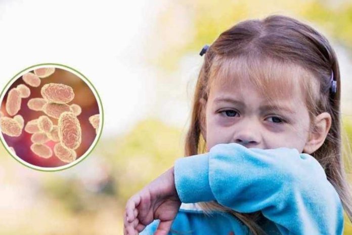 The Lancet Infectious Diseases destaca política de inmunización contra VRS impulsado por ministra Aguilera The Lancet Infectious Diseases destaca política de inmunización contra VRS impulsado por ministra Aguilera