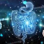 5 claves para entender qué son los probióticos y por qué son importantes para la salud