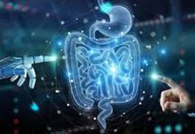 5 claves para entender qué son los probióticos y por qué son importantes para la salud 5 claves para entender qué son los probióticos y por qué son importantes para la salud