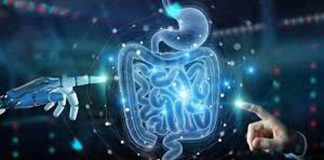 5 claves para entender qué son los probióticos y por qué son importantes para la salud