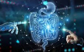 5 claves para entender qué son los probióticos y por qué son importantes para la salud