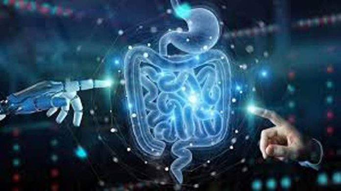 5 claves para entender qué son los probióticos y por qué son importantes para la salud