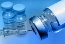 Brote de Marburgo en África reabre debate sanitario: ¿qué tan peligroso es? Brote de Marburgo en África reabre debate sanitario: ¿qué tan peligroso es?