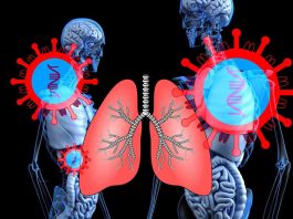 Aprueban en Chile nuevo tratamiento que reduce hasta 60% el riesgo de progresión del cáncer de pulmón Aprueban en Chile nuevo tratamiento que reduce hasta 60% el riesgo de progresión del cáncer de pulmón