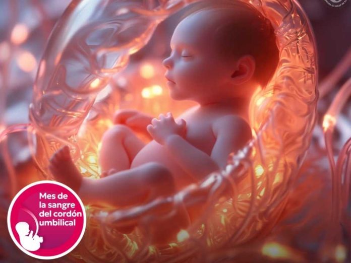 Día Mundial de la Sangre de Cordón Umbilical un recurso biológico que salva vidas Día Mundial de la Sangre de Cordón Umbilical: un recurso biológico que salva vidas