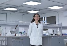 Investigación identifica al cochayuyo como potencial tratamiento para prevenir la metástasis Investigación identifica al cochayuyo como potencial tratamiento para prevenir la metástasis