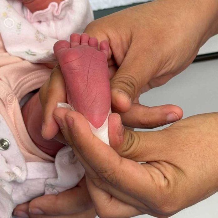 Hospital Regional de Concepción es uno de los tres centros de Chile que analiza nuevo examen para recién nacidos en el sistema público