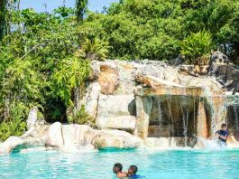 Se inicia la temporada de piscina. ¿Cómo disfrutarla sin riesgos de lesiones? Se inicia la temporada de piscina. ¿Cómo disfrutarla sin riesgos de lesiones?