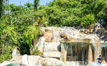 Se inicia la temporada de piscina. ¿Cómo disfrutarla sin riesgos de lesiones?