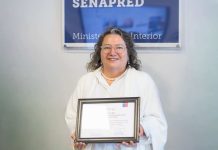 Académica UCSC es distinguida por su aporte a la gestión del riesgo de desastres en Biobío Académica UCSC es distinguida por su aporte a la gestión del riesgo de desastres en Biobío