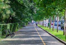 Altas temperaturas: experta UCSC advierte cómo el diseño urbano puede reducir las islas de calor en las ciudades Altas temperaturas: experta UCSC advierte cómo el diseño urbano puede reducir las islas de calor en las ciudades