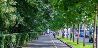 Altas temperaturas: experta UCSC advierte cómo el diseño urbano puede reducir las islas de calor en las ciudades