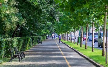 Altas temperaturas: experta UCSC advierte cómo el diseño urbano puede reducir las islas de calor en las ciudades