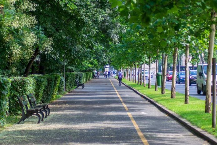 Altas temperaturas: experta UCSC advierte cómo el diseño urbano puede reducir las islas de calor en las ciudades