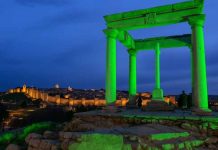 Asociación de Tumores de Vías Biliares (ATUVIBI) lanza convocatoria internacional