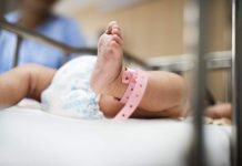 Avanza proyecto para desarrollar una placenta artificial