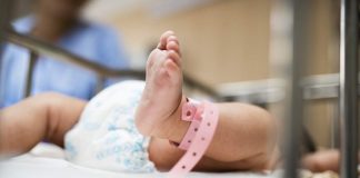 Avanza proyecto para desarrollar una placenta artificial