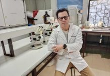 Investigación aborda efecto antioxidante y neuroprotector del digüeñe