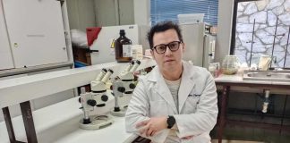 Investigación aborda efecto antioxidante y neuroprotector del digüeñe