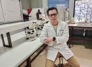 Investigación aborda efecto antioxidante y neuroprotector del digüeñe