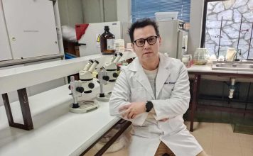 Investigación aborda efecto antioxidante y neuroprotector del digüeñe