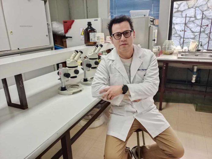 Investigación aborda efecto antioxidante y neuroprotector del digüeñe