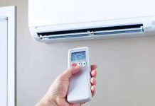 Ola de calor con temperaturas cercanas a 40°: cómo enfrentar el impacto en personas y mascotas en la recta final del año