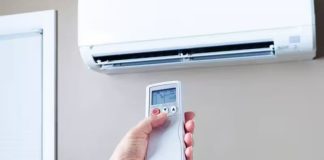 Ola de calor con temperaturas cercanas a 40°: cómo enfrentar el impacto en personas y mascotas en la recta final del año