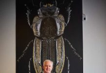 LAS TENDENCIAS PARA CUIDAR NUESTRA PIEL EN VERANO