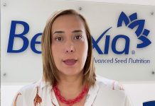 El cansancio mental no es solo estrés, también es nutrición