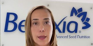 El cansancio mental no es solo estrés, también es nutrición