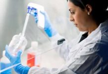 Un año de descubrimientos: 10 avances de investigación de Mayo Clinic que impulsan la medicina