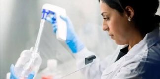 Un año de descubrimientos: 10 avances de investigación de Mayo Clinic que impulsan la medicina