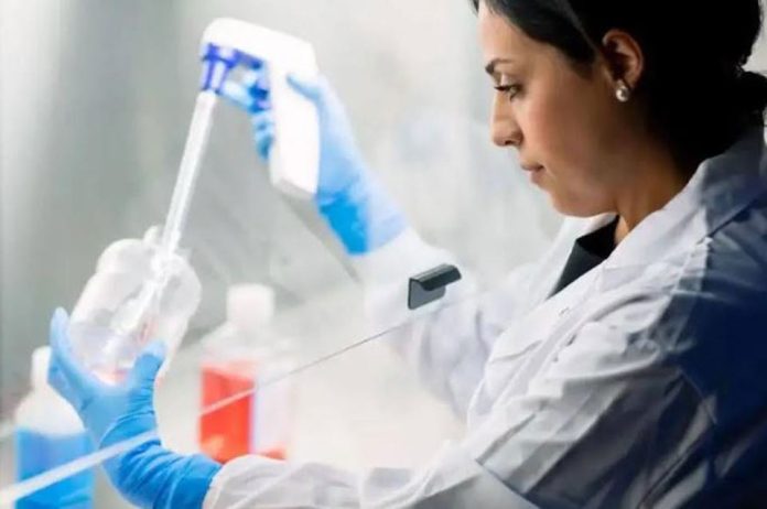 Un año de descubrimientos: 10 avances de investigación de Mayo Clinic que impulsan la medicina