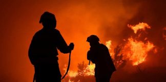 Académicos UCSC entregan recomendaciones clave ante incendios forestales que afectan a Chile