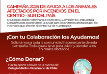 Colmevet activa donación por incendios en las Regiones de Ñuble y Biobío