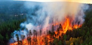 Cómo protegerse frente a las toxinas del humo en un incendio
