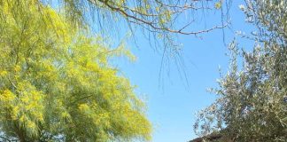 Desafío Levantemos Chile fomenta el voluntariado corporativo e invita a que más empresas se sumen este 2026