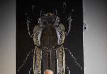 Descuentos en cirugías en los países vecinos, ¿vale la pena