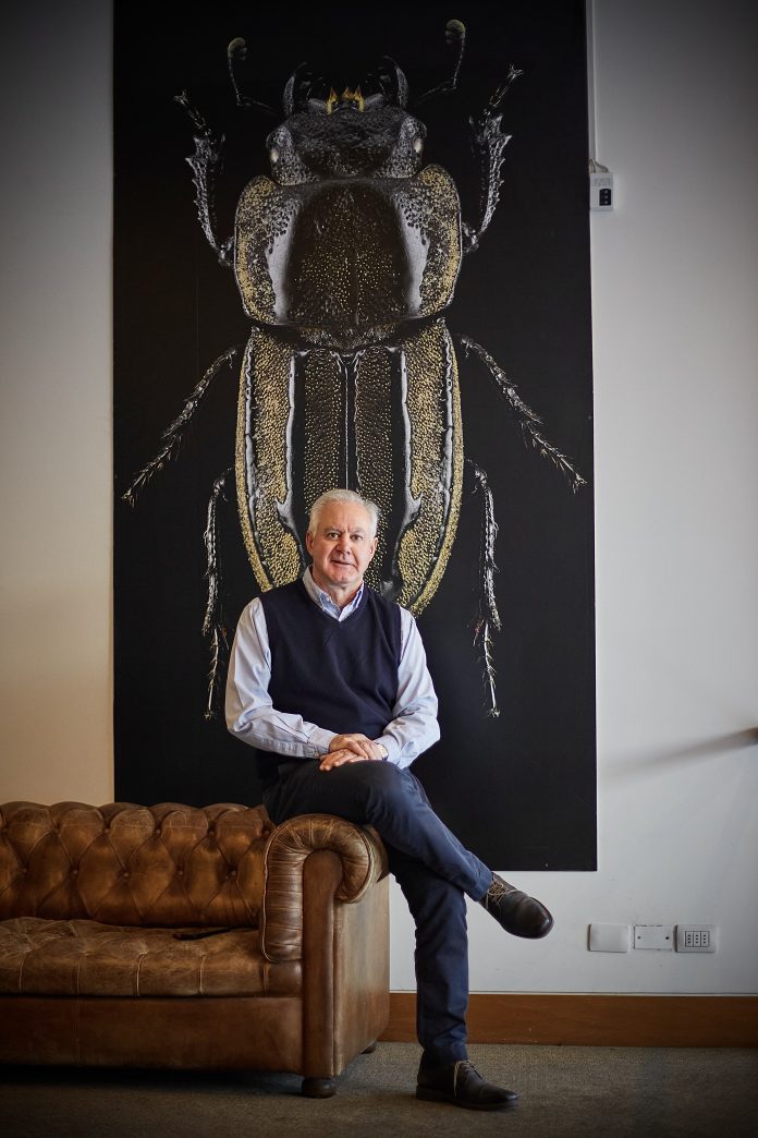 Descuentos en cirugías en los países vecinos, ¿vale la pena