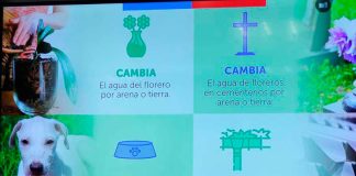 Eliminar los criaderos de mosquitos en el hogar disminuye la reproducción del vector Aedes aegypti, dengue