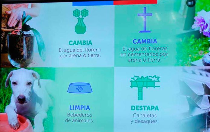 Eliminar los criaderos de mosquitos en el hogar disminuye la reproducción del vector Aedes aegypti, dengue